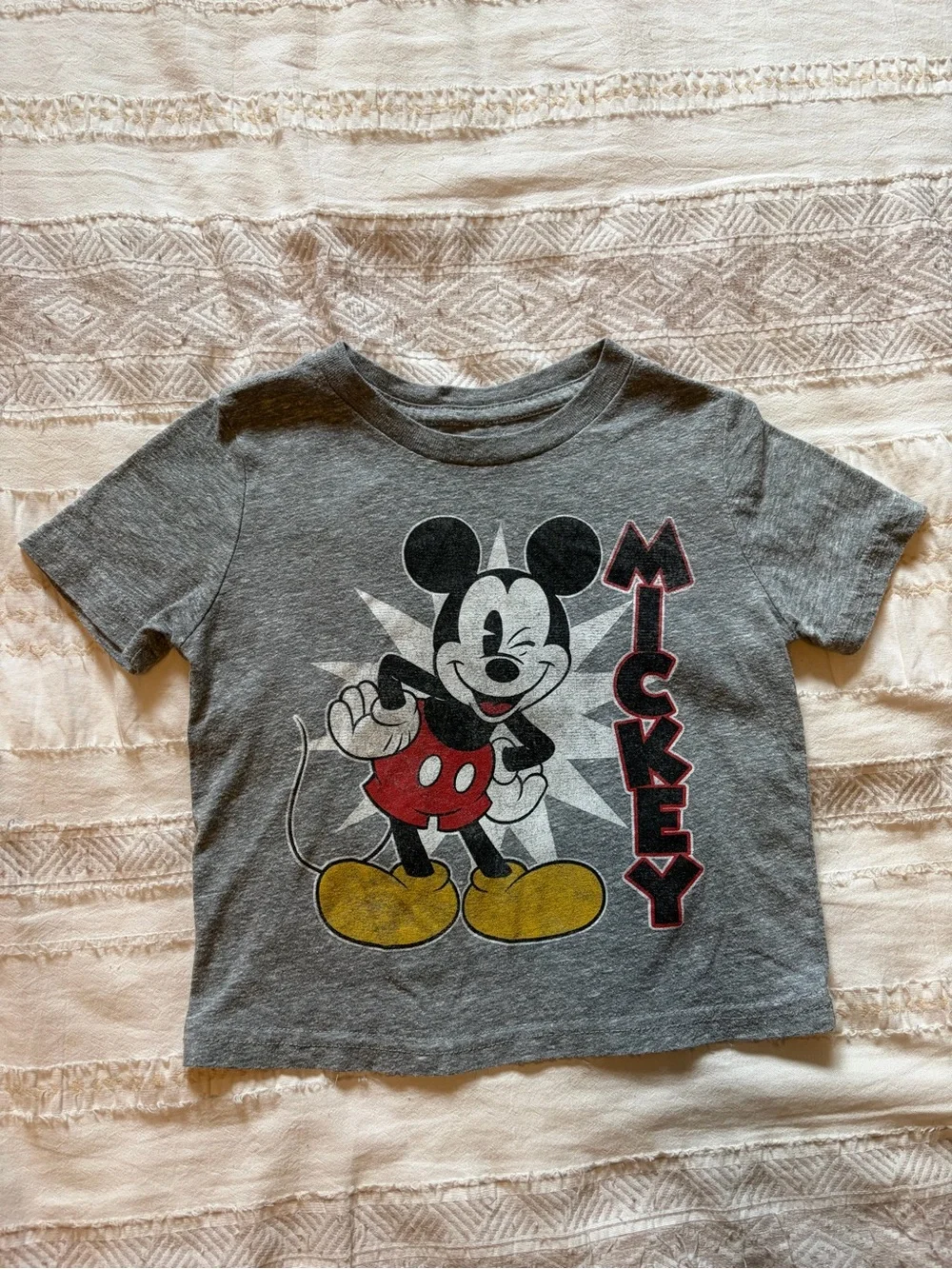 2T Character T-Shirts